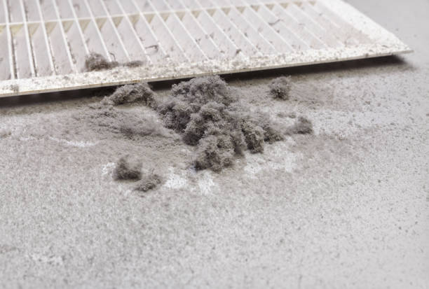 Best Local Air Duct Cleaning Services  in Tukwila, WA