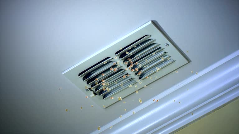 Best Ductwork Cleaning Services  in Tukwila, WA