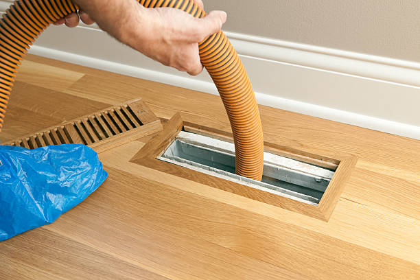 Best Air Duct Mold Removal  in Tukwila, WA